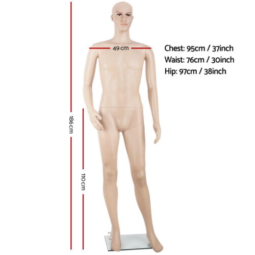 186cm Tall Full Body Male Mannequin - Skin Coloured - Image 3