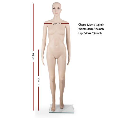 175cm Tall Full Body Female Mannequin - Skin Coloured - Image 3