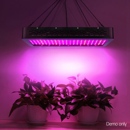 Green Fingers 2000W Grow Light LED Full Spectrum Indoor Plant All Stage Growth - Image 7