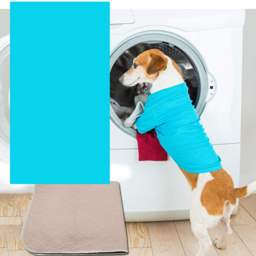 2pcs Waterproof Washable Training Pee Pads  Jumbo - Image 5