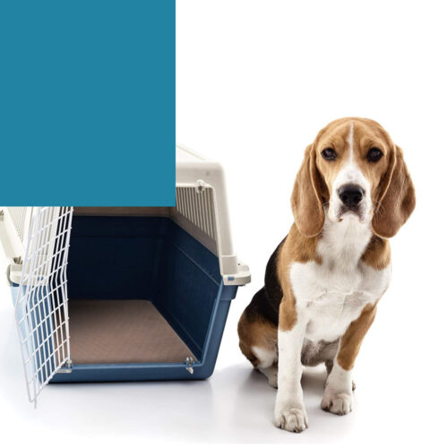 2pcs Waterproof Washable Training Pee Pads  Jumbo - Image 6