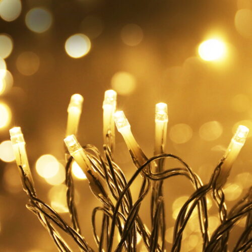 100M Christmas Lights String Fairy Light 500 LED Warm White Jingle Jollys - Image 8