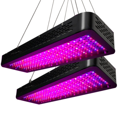Green Fingers 2X 2000W Grow Lights LED Full Spectrum Indoor Plant All Stage Growth - Image 2