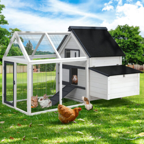i.Pet Chicken Coop Rabbit Hutch 166cm x 120cm x 112cm Large Chicken Coop House Run Cage Wooden - Image 9