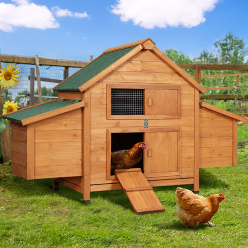 i.Pet Chicken Coop Rabbit Hutch 150cm x 68cm x 96cm Large Chicken Coop House Run Cage Wooden - Image 9