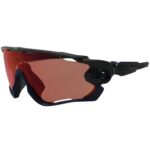 Oakley OO 9290-4931 Jawbreaker Carbon Prizm Trail Torch Mens Sports Sunglasses