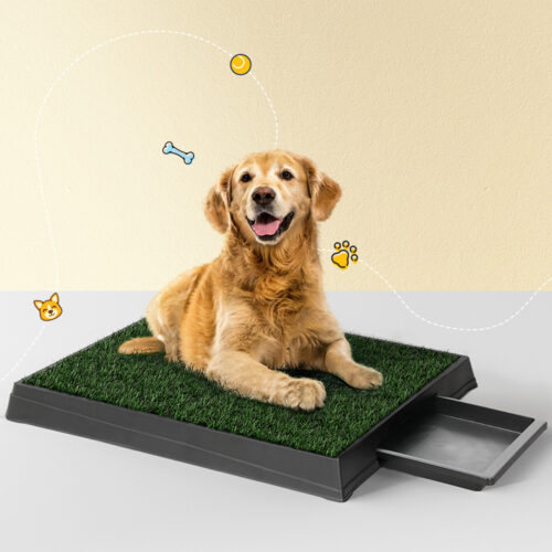 i.Pet Pet Training Pad Dog Potty Toilet Large Portable With Tray Grass 2 Mats - Image 8