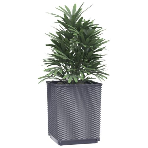 Planters 2pcs Dark Grey 30x30x37cm Polypropylene - Image 2