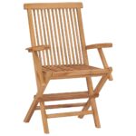 Folding Garden Chairs 2pcs Solid Teak Wood