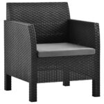 Garden Chairs with Cushions 2pcs PP Rattan Anthracite