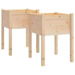 Garden Planters 2pcs 50x50x70cm Solid Pinewood
