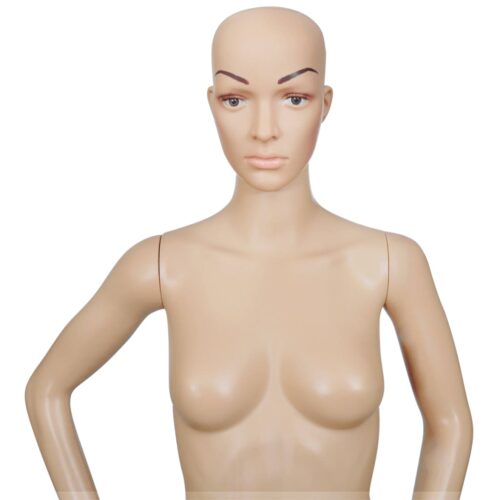 Mannequin Women Full Body - Image 6