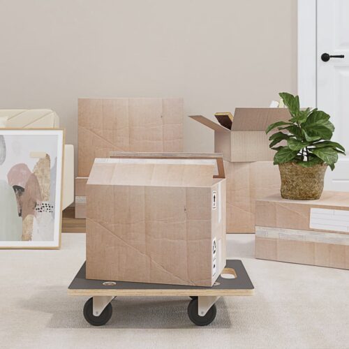 Transport Trolleys 2pcs Rectangular 50x35x11.5cm 250KG - Image 10