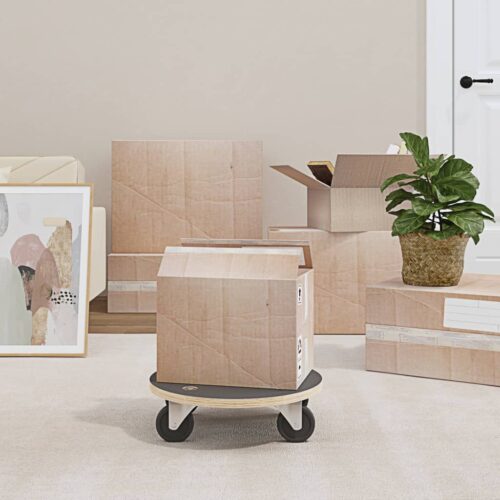 Transport Trolleys 2pcs Round 38x11.5cm 250KG - Image 11