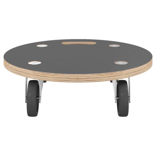 Transport Trolleys 2pcs Round 38x11.5cm 250KG - Image 5