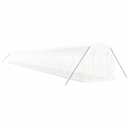 Greenhouse with Steel Frame White 48m 24x2x2m - Image 3