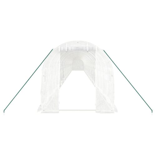 Greenhouse with Steel Frame White 48m 24x2x2m - Image 4