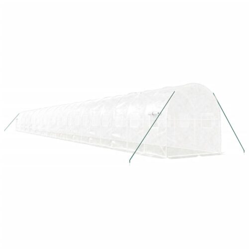 Greenhouse with Steel Frame White 48m 24x2x2m - Image 6