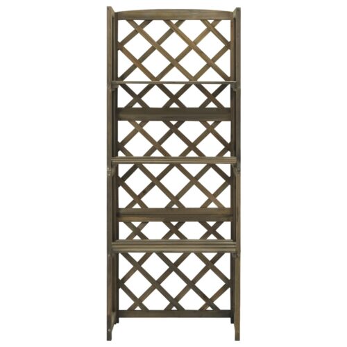 Trellis with Shelves Grey 55x30x140cm Solid Fir Wood - Image 2