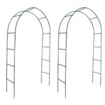 Garden Arch 2pcs Climbing Plants