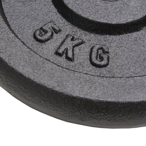 Weight Plates 4pcs 4x5 kg Cast Iron - Image 4