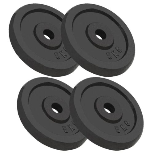 Weight Plates 4pcs 4x5 kg Cast Iron - Image 5