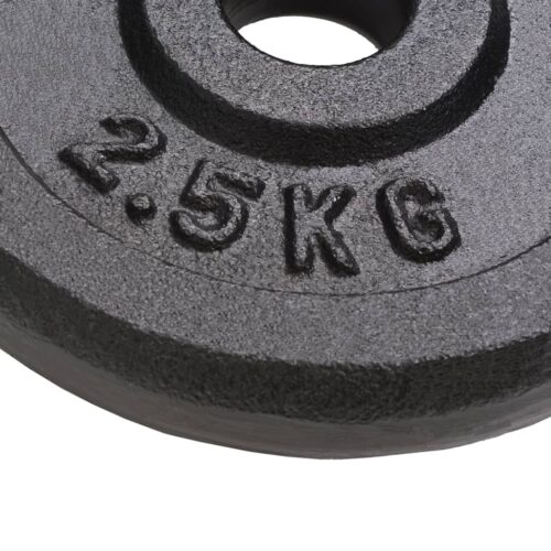 Weight Plates 8pcs 8x2.5 kg Cast Iron - Image 3