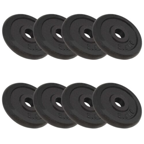Weight Plates 8pcs 8x2.5 kg Cast Iron - Image 5