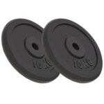 Weight Plates 2pcs 2x10 kg Cast Iron