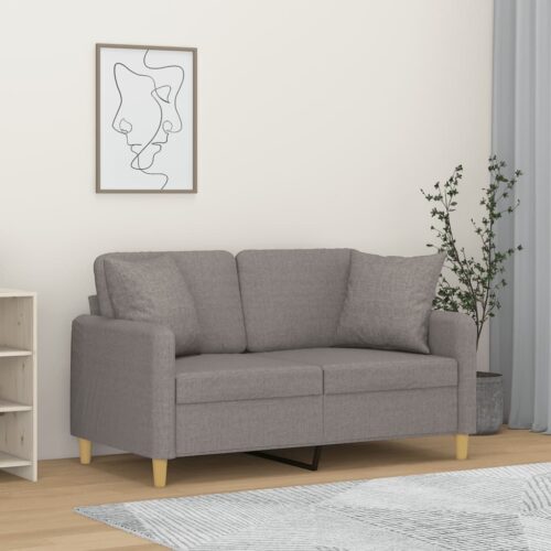 2-Seater Sofa with Cushions Lounge Couch Futon Chair Fabric Light Grey 120cm
