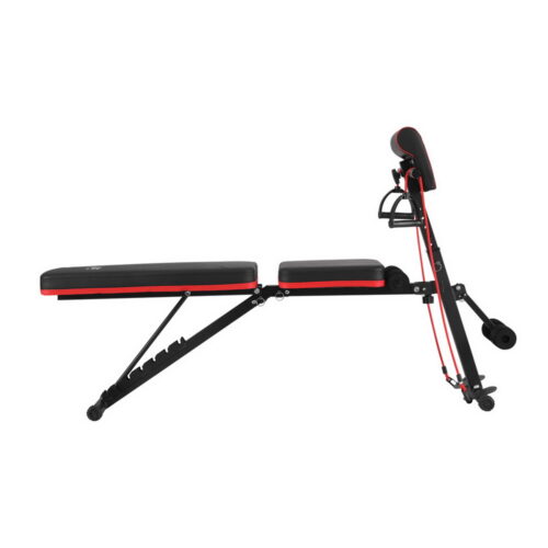 Everfit Weight Bench Adjustable Preacher Curl Bench Press Dumbbell Stool 260kg - Image 3