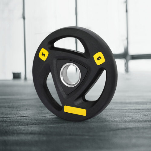 Everfit Weight Plates Standard 5kg Dumbbells Barbells Plate Weight Lifting Home - Image 7