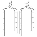 Garden Arches 2pcs Black 120x38x260cm Steel