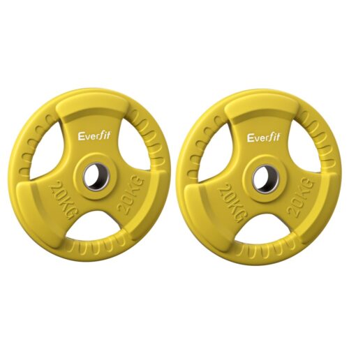 Everfit Weight Plates Standard 20kgx2 Dumbbell Barbell Plate Weight Lifting Home Gym Yellow - Image 3