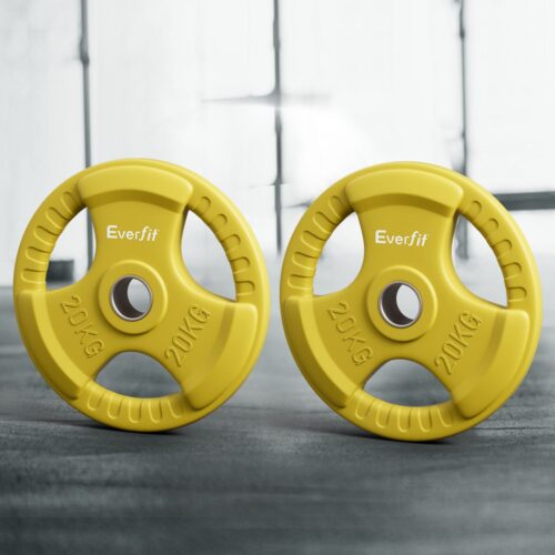 Everfit Weight Plates Standard 20kgx2 Dumbbell Barbell Plate Weight Lifting Home Gym Yellow - Image 7