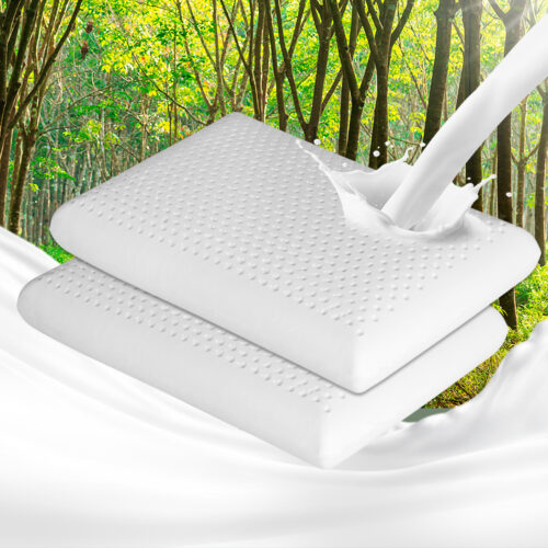 Dreamz 2x Natural Latex Pillow Removable - Image 8