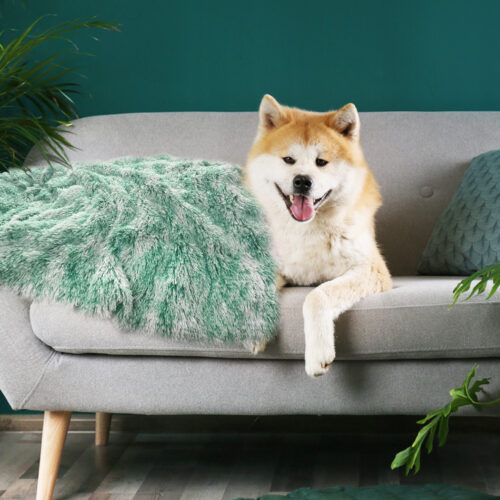 PaWz Dog Blanket Pet Cat Mat Puppy Warm Teal - Image 7