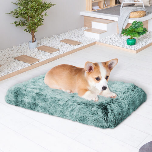 PaWz Dog Mat Pet Calming Bed Memory S Green Small - Image 8