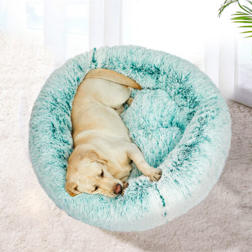 PaWz Replaceable Cover For Dog Calming XXL Teal Cover XX Large - Image 7