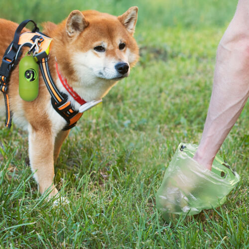 PaWz 100% Compostable Biobased Dog Poop - Image 8