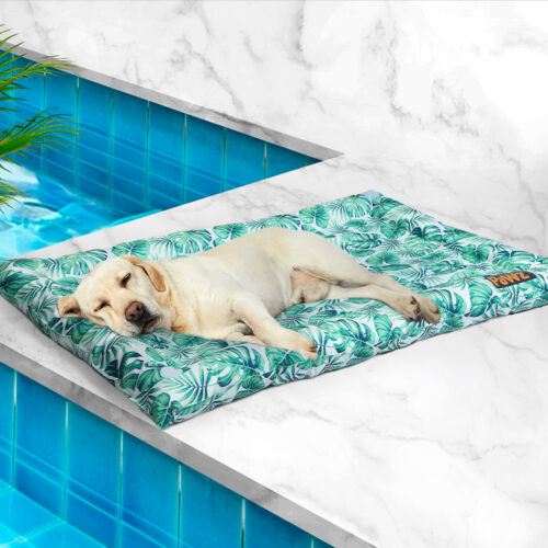 PaWz Pet Cool Gel Mat Cat Bed Dog Bolster L Large - Image 8