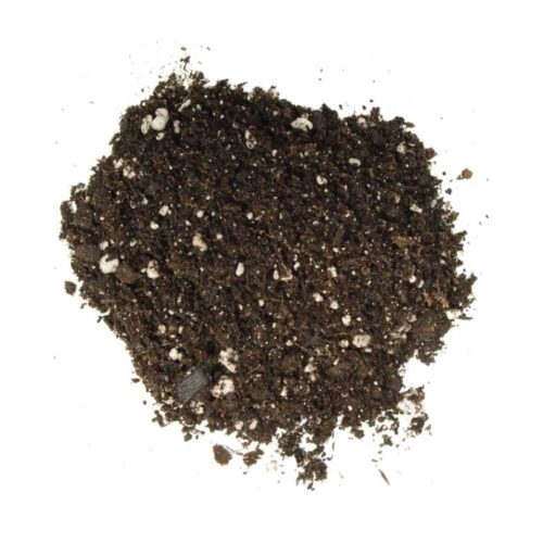 2L Premium Coco Perlite Mix - 70% Coir Husk 30% Hydroponic Plant Growing Medium - Image 2