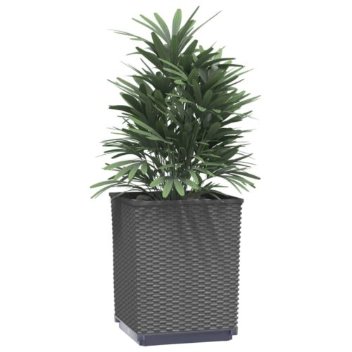 Planters 4pcs Black 30x30x37cm Polypropylene - Image 3