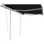 Manual Retractable Awning with Posts 3x2.5m Anthracite