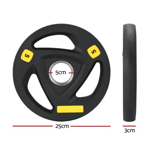 Everfit Weight Plates Standard 5kgx2 Dumbbells Barbells Plate Weight Lifting Home - Image 2