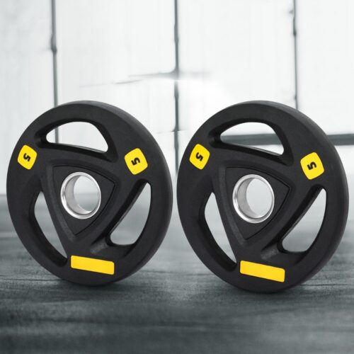 Everfit Weight Plates Standard 5kgx2 Dumbbells Barbells Plate Weight Lifting Home - Image 7