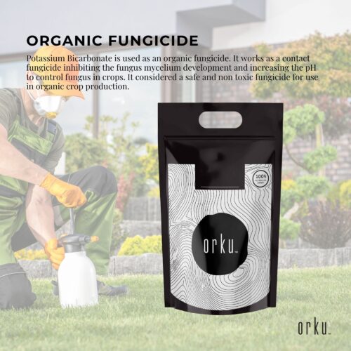 Bulk 10Kg Organic Potassium Bicarbonate Powder Food Grade FCC for Brewing Baking - Image 5