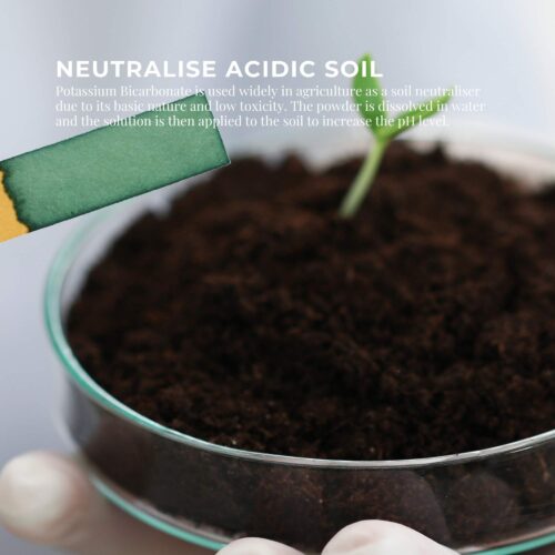 5Kg Organic Potassium Bicarbonate Powder Tub Food Grade FCC for Brewing Baking - Image 7