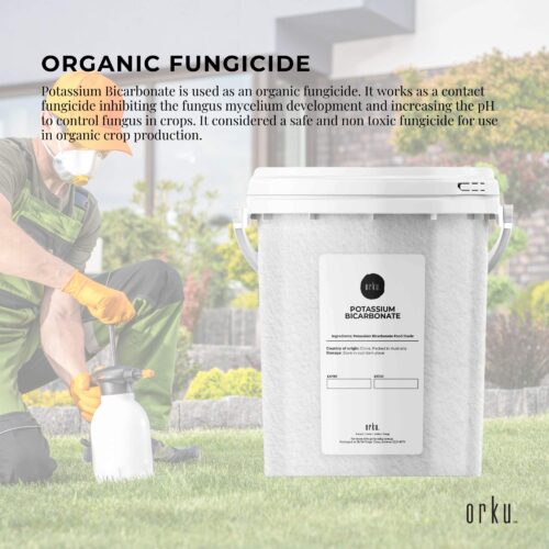 1.3Kg Organic Potassium Bicarbonate Powder Tub Food Grade FCC for Brewing Baking - Image 3