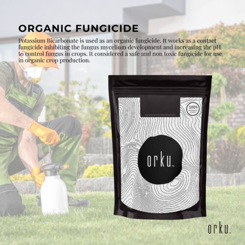 1Kg Organic Potassium Bicarbonate Powder Food Grade Pure FCC Brewing Baking - Image 3
